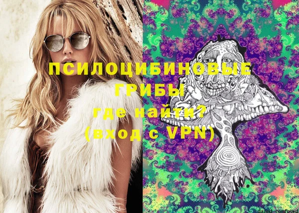 шишки Алзамай
