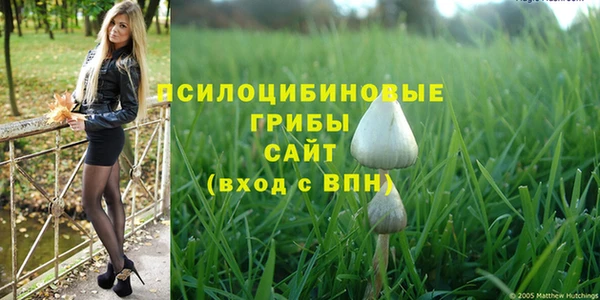 шишки Алзамай