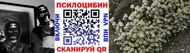 Галлюциногенные грибы GOLDEN TEACHER Алзамай