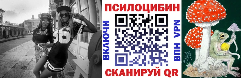 Псилоцибиновые грибы мицелий Алзамай